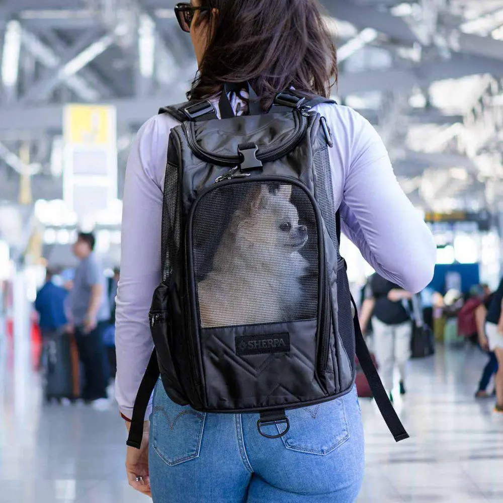 Transporttaske Backpack Sherpa 2in1 Sort 43x26,5x26cm Max 7kg
